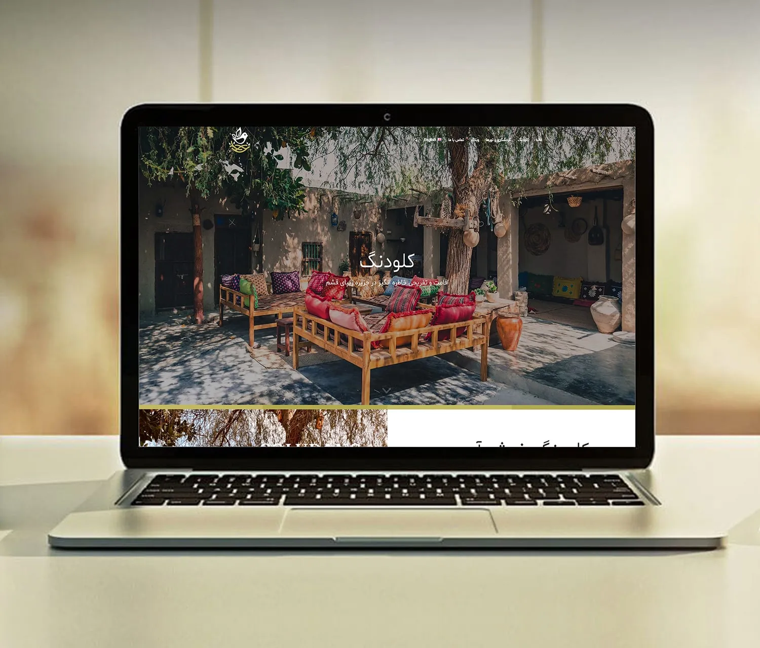 Portfolio Images